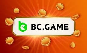 Exploring BC.Game Payment Methods for Romanian Players -214931311