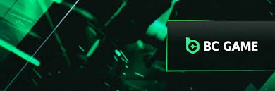 Support BCGame USA Your Comprehensive Guide