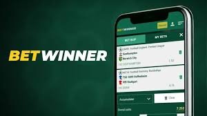 Betwinner Fast Registration Your Quick Guide to Betting