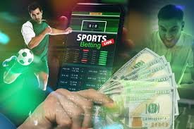 The Exciting World of Oshi Casino Your Ultimate Gaming Destination -149590967
